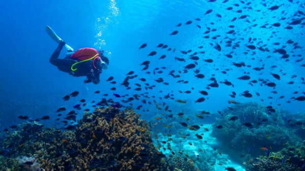 BOHOL ISLAND HOPPING - Image 3