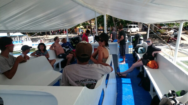 BOHOL ISLAND HOPPING - Image 2